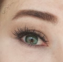 Lausel Lens Olive